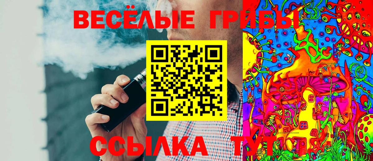 Псилоцибиновые грибы Cubensis Мичуринск