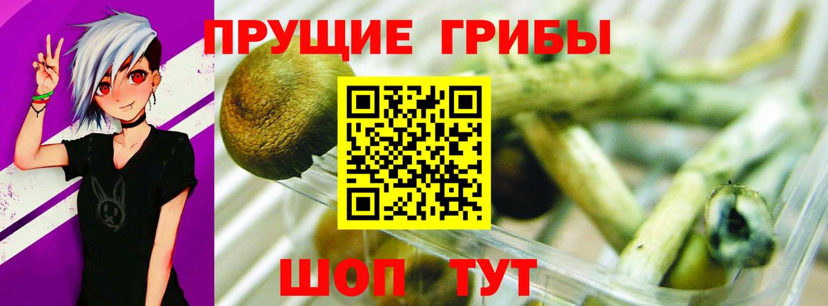 Мичуринск  Псилоцибиновые грибы Cubensis  Вход с VPN 